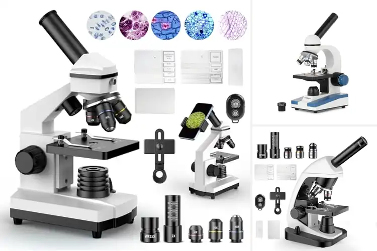 Detailed view of Best Biological Microscopes: Top 10 for Easy Science
