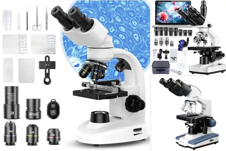 Detailed view of Best Brightfield Microscopes