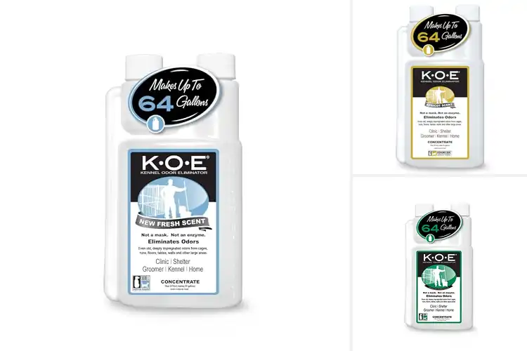Detailed view of Best Kennel Odor Eliminators: 10 Fresh Solutions