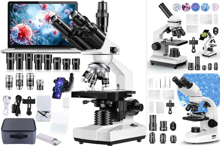 Detailed view of Best Lab Microscopes