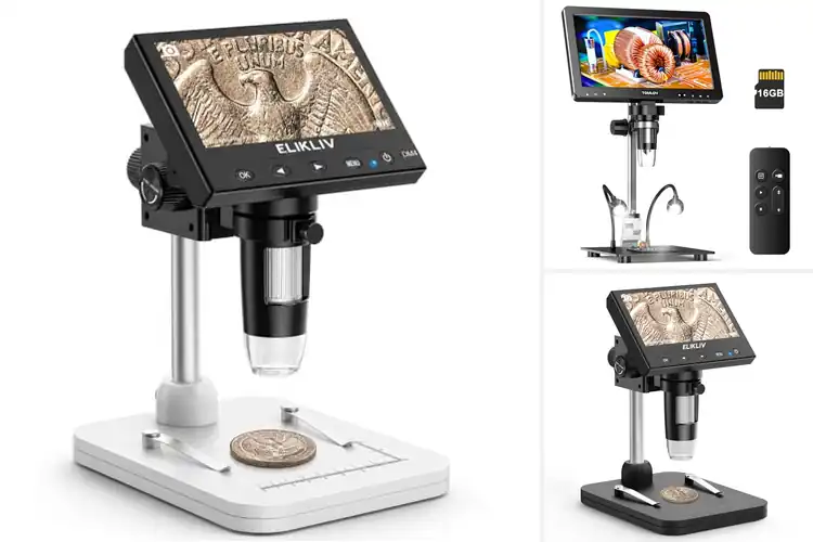 Detailed view of Best LED Microscopes