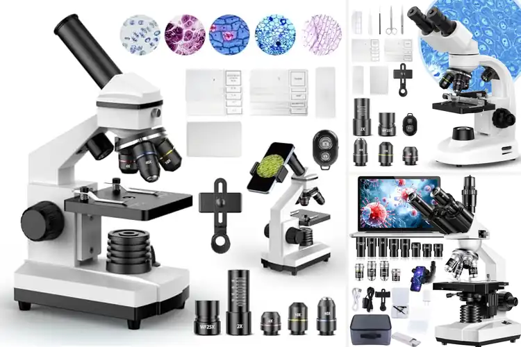 Detailed view of Best Microscopes: Uncover the Hidden World with Top 10 Picks