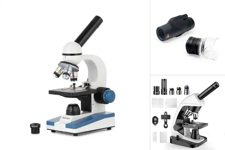 Detailed view of Best Monocular Microscopes