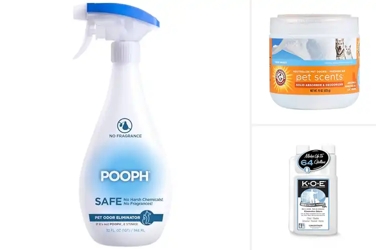 Detailed view of Best Pet Odor Eliminators: Top 10 Fresh Picks