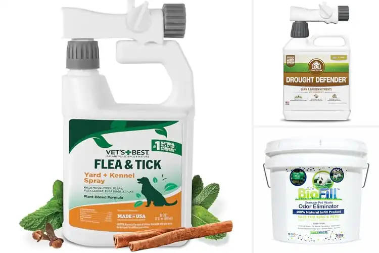 Detailed view of Best Safe Turf Treatments