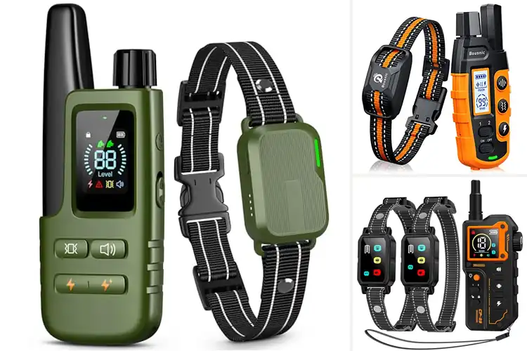 Detailed view of Best Shock Collars for Large Dogs