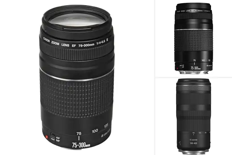 Detailed view of Best Zoom Lenses: Top 10 Picks for Stunning Photography